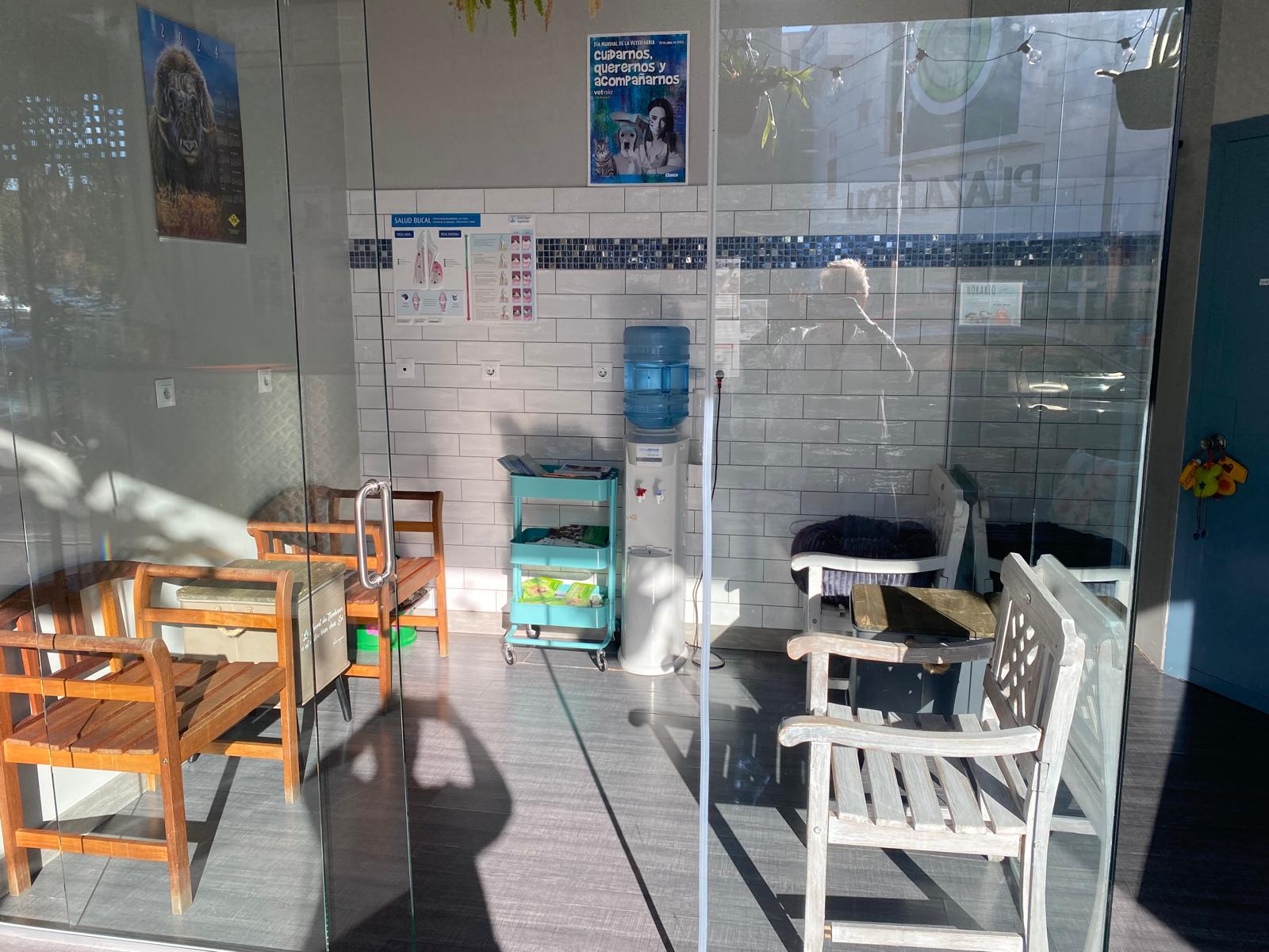 Veterinaria Huella en Pinto