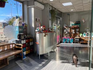 Veterinaria Huella en Pinto