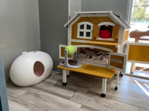 Veterinaria Huella en Pinto