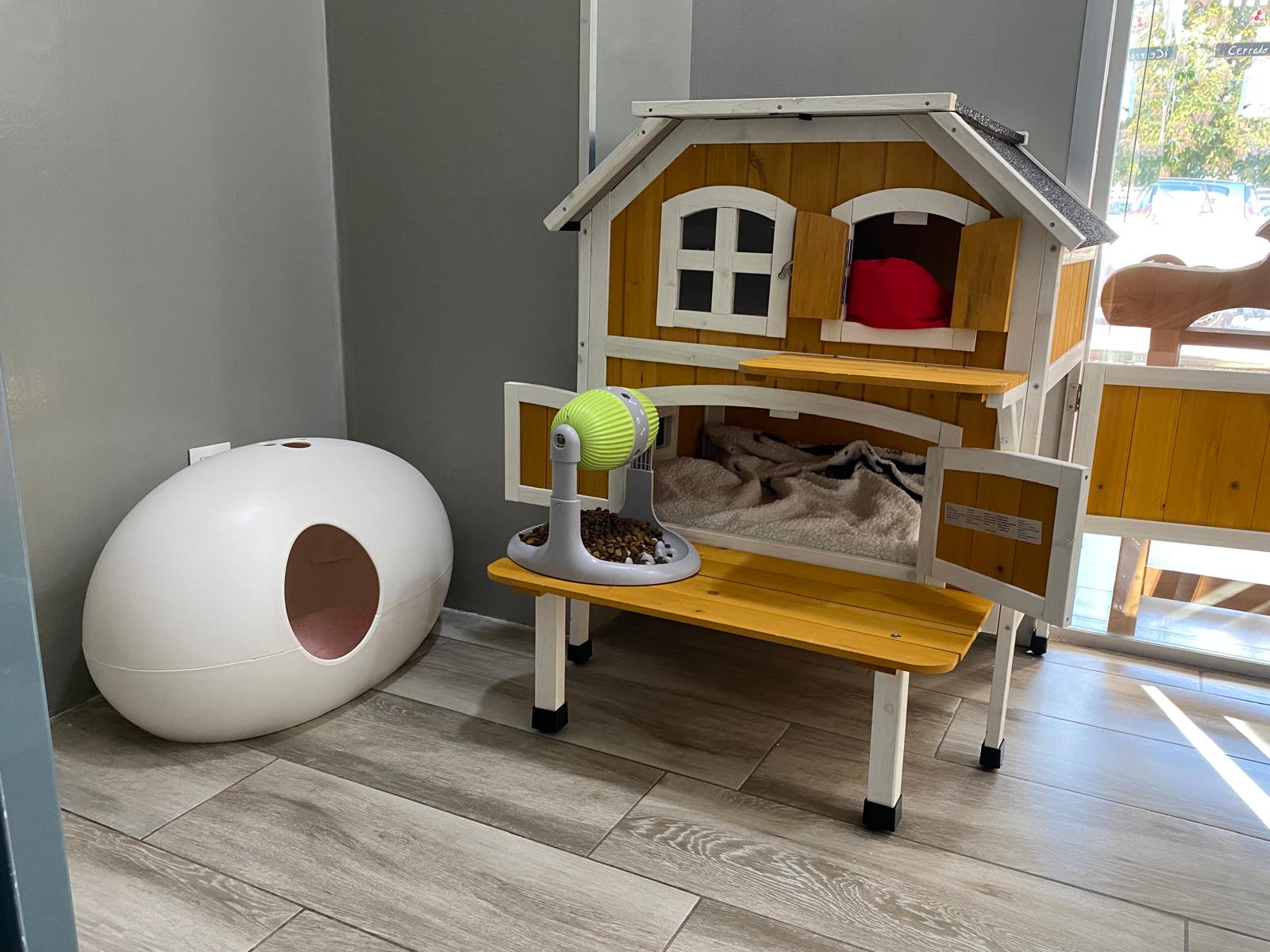 Veterinaria Huella en Pinto