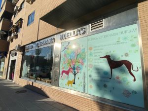 Veterinaria en Pinto