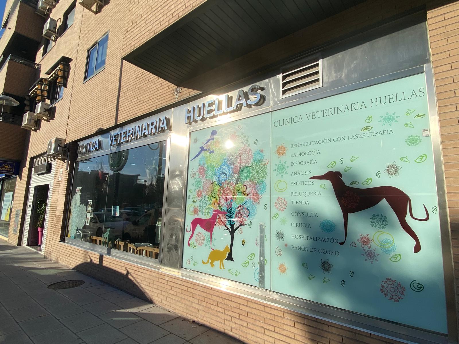 Veterinaria en Pinto