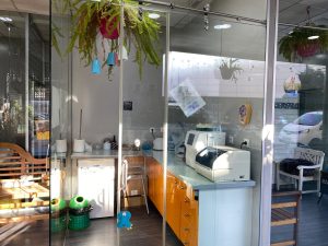 Veterinaria Huella en Pinto