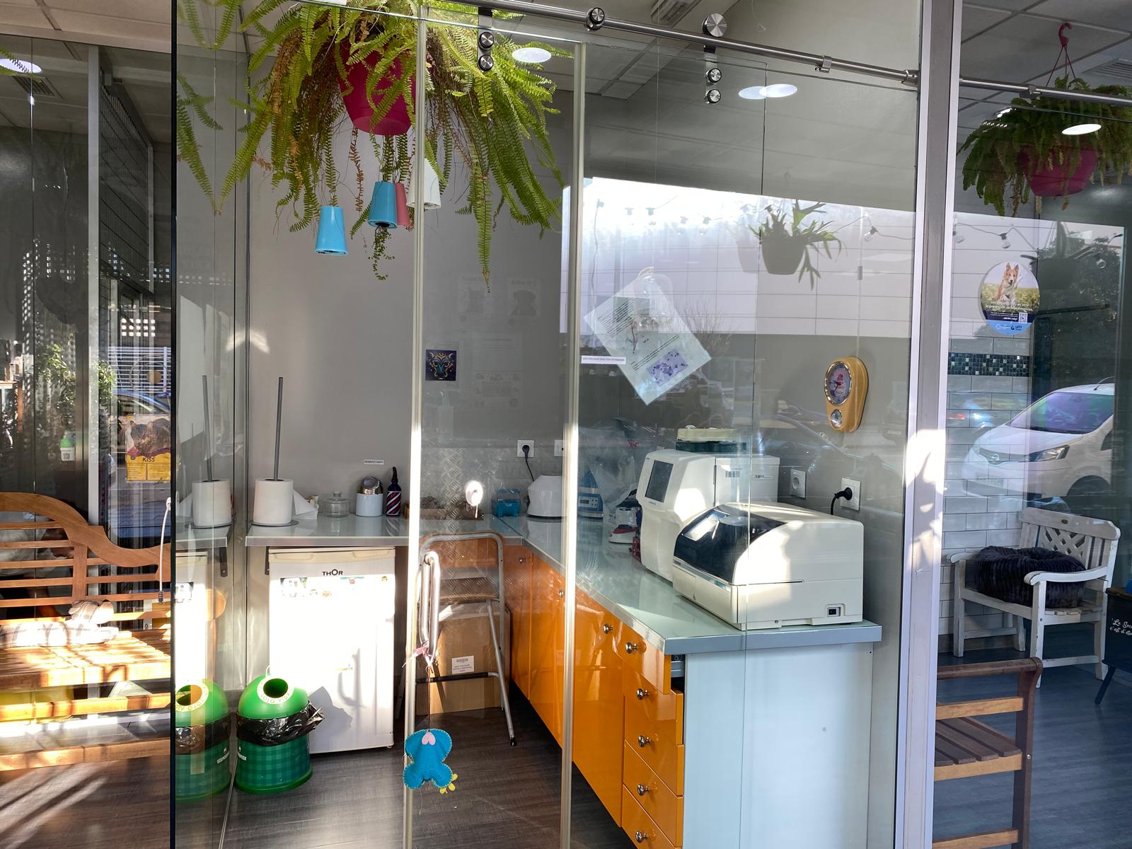 Veterinaria Huella en Pinto