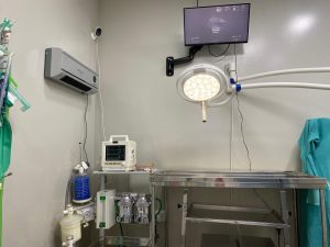 Veterinaria Huella en Pinto