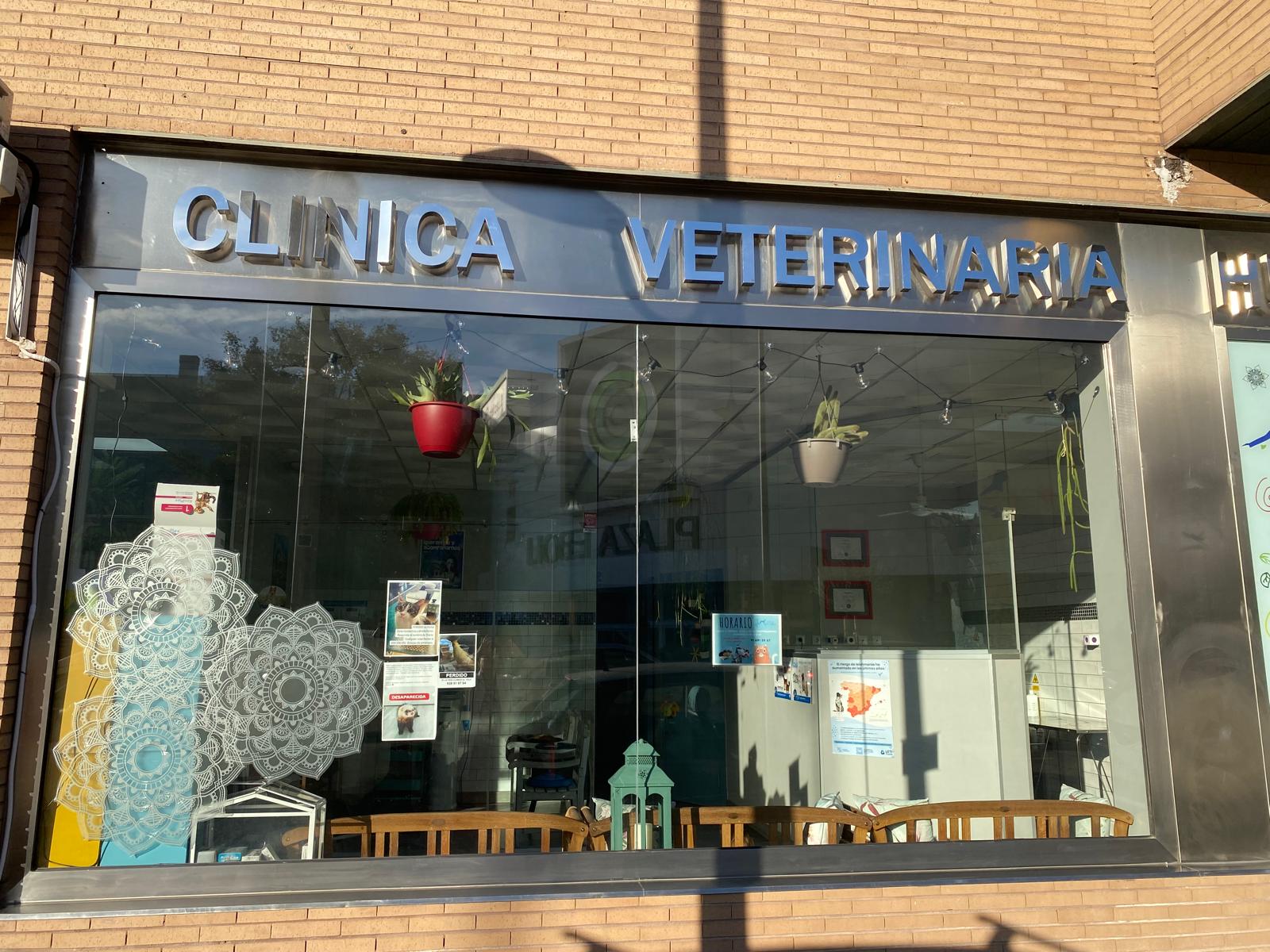 Veterinaria Huella en Pinto