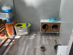 Veterinaria Huella en Pinto